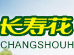 長壽花特級初榨橄欖油750ml箱裝加盟批發指南